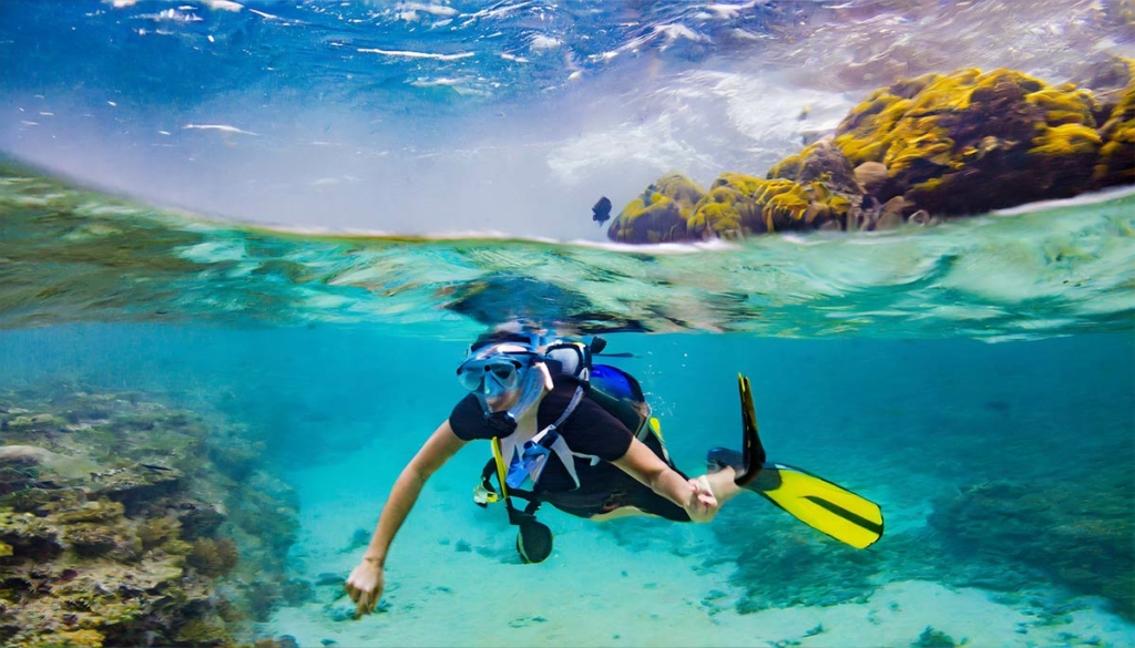 Personne en snorkeling au-dessus des coraux dans un lagon peu profond de l'île Maurice