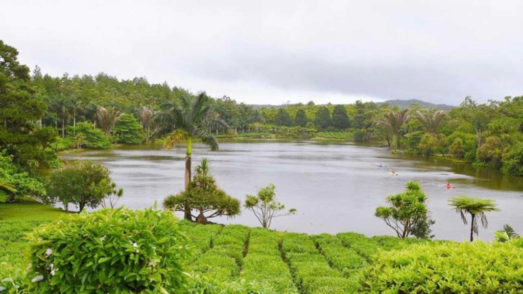 Lac et végétation dense sur le plateau central de l'île Maurice, sous un ciel couvert