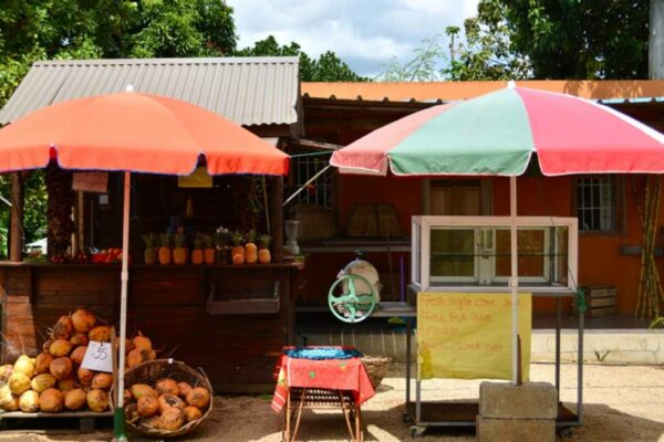 La gastronomie à l'île Maurice